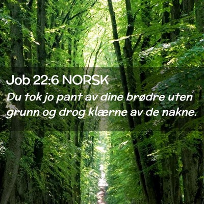 Picture 02 - Job 22:6 NORSK - Du tok jo pant av dine brødre uten grunn og drog - Bible Verse Picture
