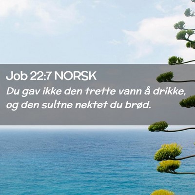 Picture 02 - Job 22:7 NORSK - Du gav ikke den trette vann å drikke, og den - Bible Verse Picture