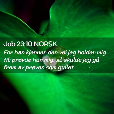 Picture 02 - Job 23:10 NORSK - For han kjenner den vei jeg holder mig til; - Bible Verse Picture