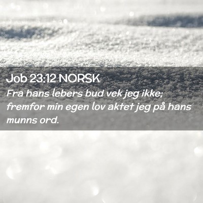 Picture 02 - Job 23:12 NORSK - Fra hans lebers bud vek jeg ikke; fremfor min - Bible Verse Picture