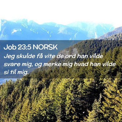 Picture 02 - Job 23:5 NORSK - Jeg skulde få vite de ord han vilde svare mig, - Bible Verse Picture