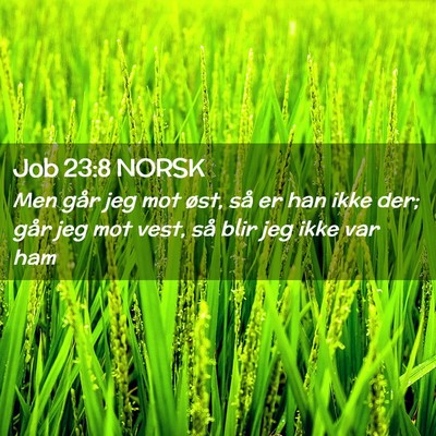 Picture 02 - Job 23:8 NORSK - Men går jeg mot øst, så er han ikke der; går - Bible Verse Picture
