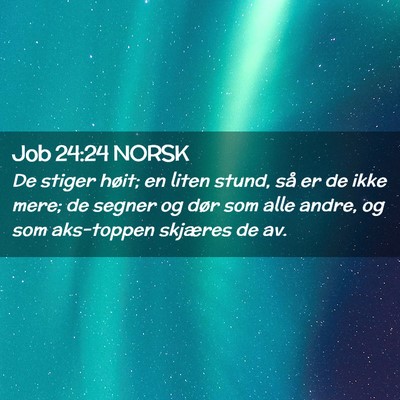 Picture 02 - Job 24:24 NORSK - De stiger høit; en liten stund, så er de ikke - Bible Verse Picture