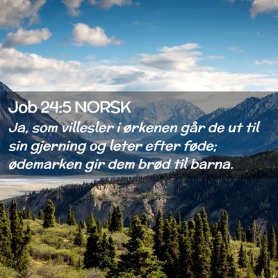 Picture 02 - Job 24:5 NORSK - Ja, som villesler i ørkenen går de ut til sin - Bible Verse Picture