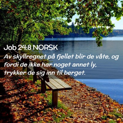 Picture 02 - Job 24:8 NORSK - Av skyllregnet på fjellet blir de våte, og - Bible Verse Picture