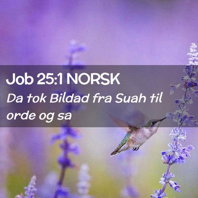 Picture 02 - Job 25:1 NORSK - Da tok Bildad fra Suah til orde og - Bible Verse Picture