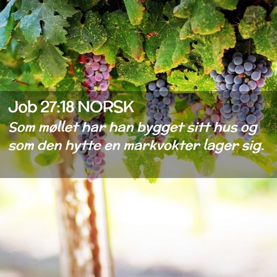 Picture 02 - Job 27:18 NORSK - Som møllet har han bygget sitt hus og som den - Bible Verse Picture