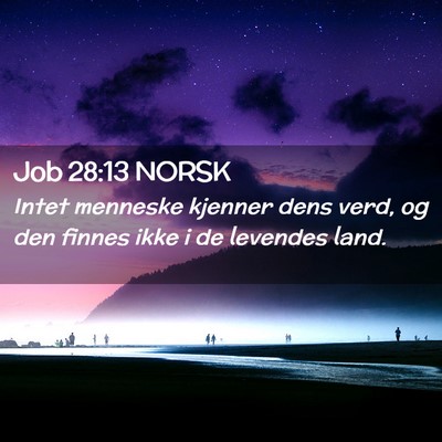 Picture 02 - Job 28:13 NORSK - Intet menneske kjenner dens verd, og den finnes - Bible Verse Picture