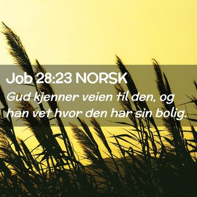 Picture 02 - Job 28:23 NORSK - Gud kjenner veien til den, og han vet hvor den - Bible Verse Picture