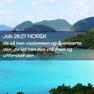 Picture 02 - Job 28:27 NORSK - da så han visdommen og åpenbarte den, da lot - Bible Verse Picture