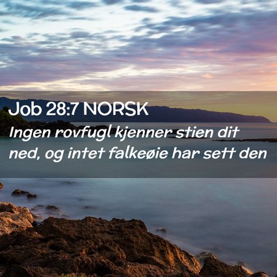 Picture 02 - Job 28:7 NORSK - Ingen rovfugl kjenner stien dit ned, og intet - Bible Verse Picture