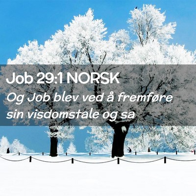 Picture 02 - Job 29:1 NORSK - Og Job blev ved å fremføre sin visdomstale og - Bible Verse Picture