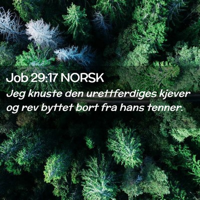 Picture 02 - Job 29:17 NORSK - Jeg knuste den urettferdiges kjever og rev byttet - Bible Verse Picture