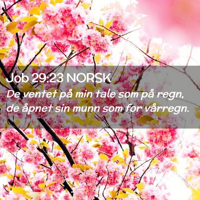 Picture 02 - Job 29:23 NORSK - De ventet på min tale som på regn, de åpnet - Bible Verse Picture