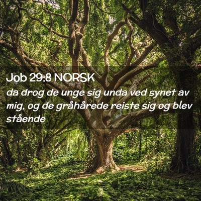 Picture 02 - Job 29:8 NORSK - da drog de unge sig unda ved synet av mig, og de - Bible Verse Picture