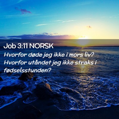 Picture 02 - Job 3:11 NORSK - Hvorfor døde jeg ikke i mors liv? Hvorfor - Bible Verse Picture