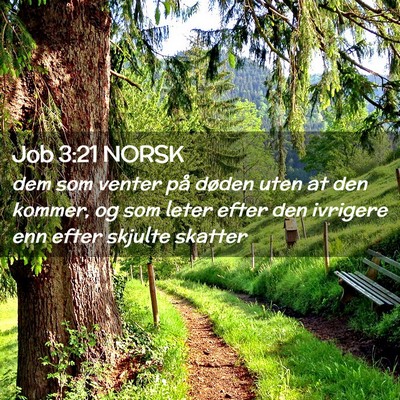 Picture 02 - Job 3:21 NORSK - dem som venter på døden uten at den kommer, og - Bible Verse Picture
