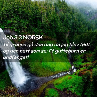 Picture 02 - Job 3:3 NORSK - Til grunne gå den dag da jeg blev født, og den - Bible Verse Picture