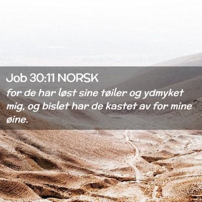 Picture 02 - Job 30:11 NORSK - for de har løst sine tøiler og ydmyket mig, og - Bible Verse Picture