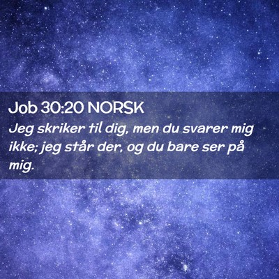 Picture 02 - Job 30:20 NORSK - Jeg skriker til dig, men du svarer mig ikke; jeg - Bible Verse Picture