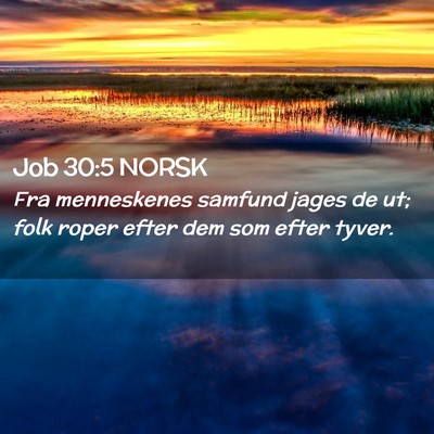 Picture 02 - Job 30:5 NORSK - Fra menneskenes samfund jages de ut; folk roper - Bible Verse Picture