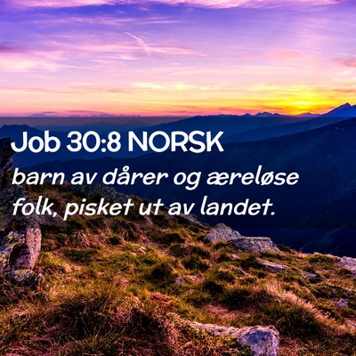 Picture 02 - Job 30:8 NORSK - barn av dårer og æreløse folk, pisket ut av - Bible Verse Picture