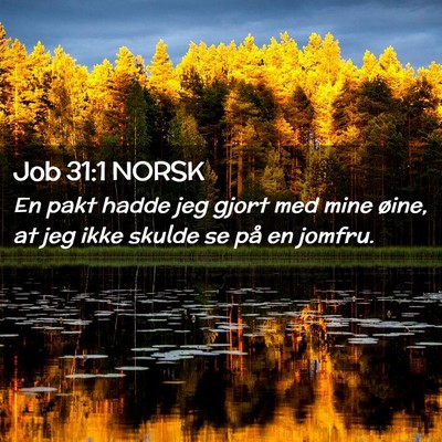 Picture 02 - Job 31:1 NORSK - En pakt hadde jeg gjort med mine øine, at jeg - Bible Verse Picture