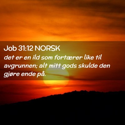 Picture 02 - Job 31:12 NORSK - det er en ild som fortærer like til avgrunnen; - Bible Verse Picture