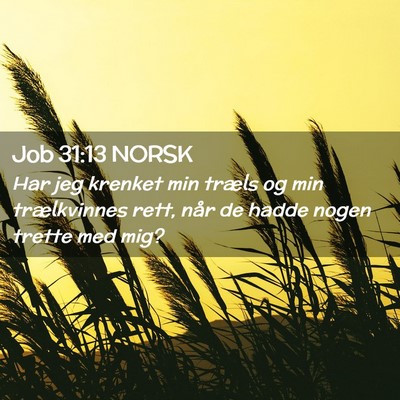 Picture 02 - Job 31:13 NORSK - Har jeg krenket min træls og min trælkvinnes - Bible Verse Picture