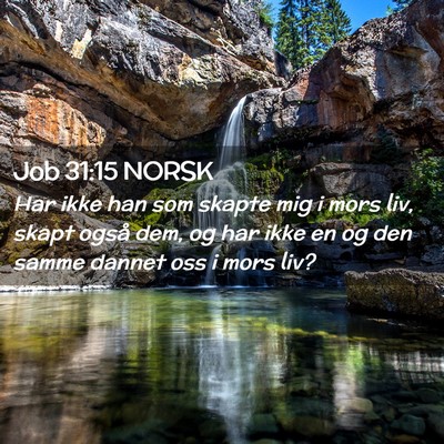 Picture 02 - Job 31:15 NORSK - Har ikke han som skapte mig i mors liv, skapt - Bible Verse Picture