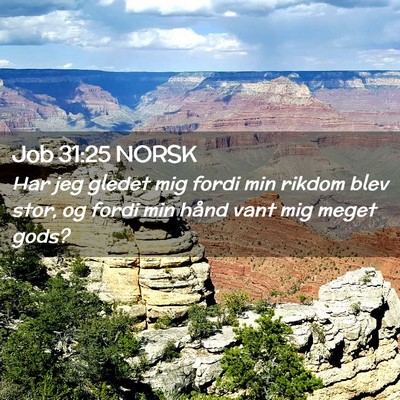 Picture 02 - Job 31:25 NORSK - Har jeg gledet mig fordi min rikdom blev stor, og - Bible Verse Picture