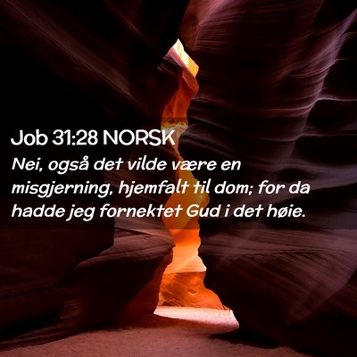 Picture 02 - Job 31:28 NORSK - Nei, også det vilde være en misgjerning, - Bible Verse Picture
