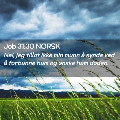 Picture 02 - Job 31:30 NORSK - Nei, jeg tillot ikke min munn å synde ved å - Bible Verse Picture