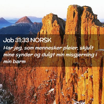 Picture 02 - Job 31:33 NORSK - Har jeg, som mennesker pleier, skjult mine synder - Bible Verse Picture