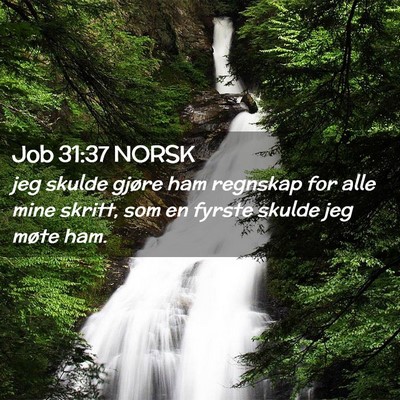 Picture 02 - Job 31:37 NORSK - jeg skulde gjøre ham regnskap for alle mine - Bible Verse Picture