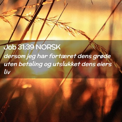 Picture 02 - Job 31:39 NORSK - dersom jeg har fortæret dens grøde uten - Bible Verse Picture