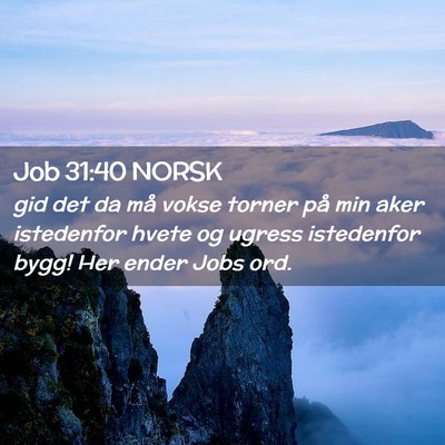 Picture 02 - Job 31:40 NORSK - gid det da må vokse torner på min aker - Bible Verse Picture