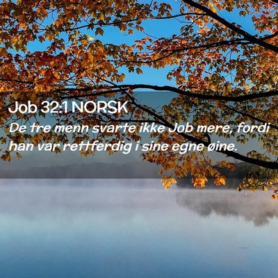 Picture 02 - Job 32:1 NORSK - De tre menn svarte ikke Job mere, fordi han var - Bible Verse Picture