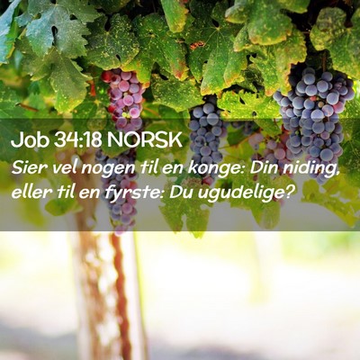 Picture 02 - Job 34:18 NORSK - Sier vel nogen til en konge: Din niding, eller - Bible Verse Picture