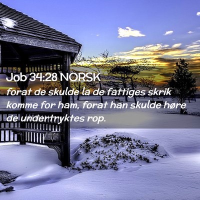 Picture 02 - Job 34:28 NORSK - forat de skulde la de fattiges skrik komme for - Bible Verse Picture