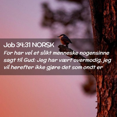 Picture 02 - Job 34:31 NORSK - For har vel et slikt menneske nogensinne sagt til - Bible Verse Picture