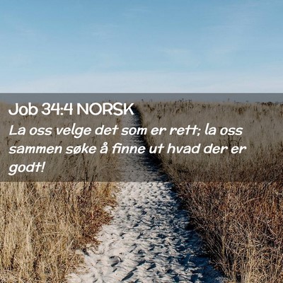 Picture 02 - Job 34:4 NORSK - La oss velge det som er rett; la oss sammen søke - Bible Verse Picture