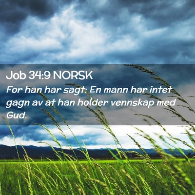 Picture 02 - Job 34:9 NORSK - For han har sagt: En mann har intet gagn av at - Bible Verse Picture