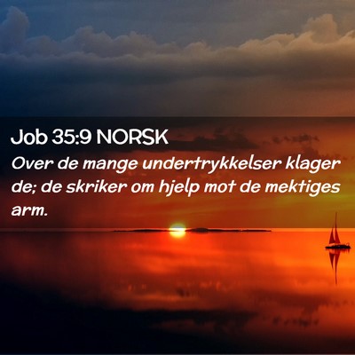 Picture 02 - Job 35:9 NORSK - Over de mange undertrykkelser klager de; de - Bible Verse Picture