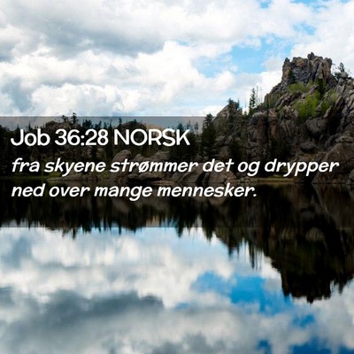 Picture 02 - Job 36:28 NORSK - fra skyene strømmer det og drypper ned over - Bible Verse Picture