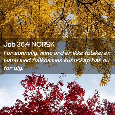 Picture 02 - Job 36:4 NORSK - For sannelig, mine ord er ikke falske; en mann - Bible Verse Picture