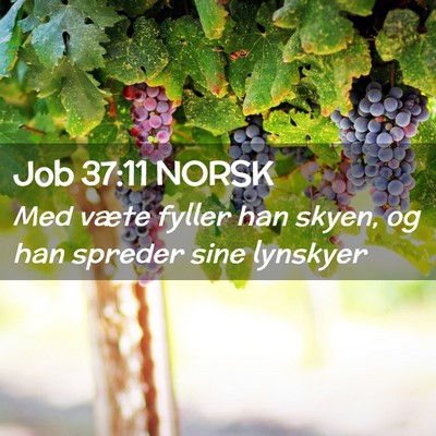 Picture 02 - Job 37:11 NORSK - Med væte fyller han skyen, og han spreder sine - Bible Verse Picture