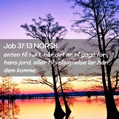 Picture 02 - Job 37:13 NORSK - enten til tukt, når det er til gagn for hans - Bible Verse Picture