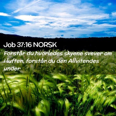 Picture 02 - Job 37:16 NORSK - Forstår du hvorledes skyene svever om i luften, - Bible Verse Picture
