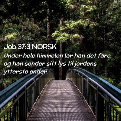 Picture 02 - Job 37:3 NORSK - Under hele himmelen lar han det fare, og han - Bible Verse Picture